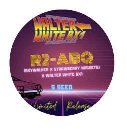 R2-ABQ
